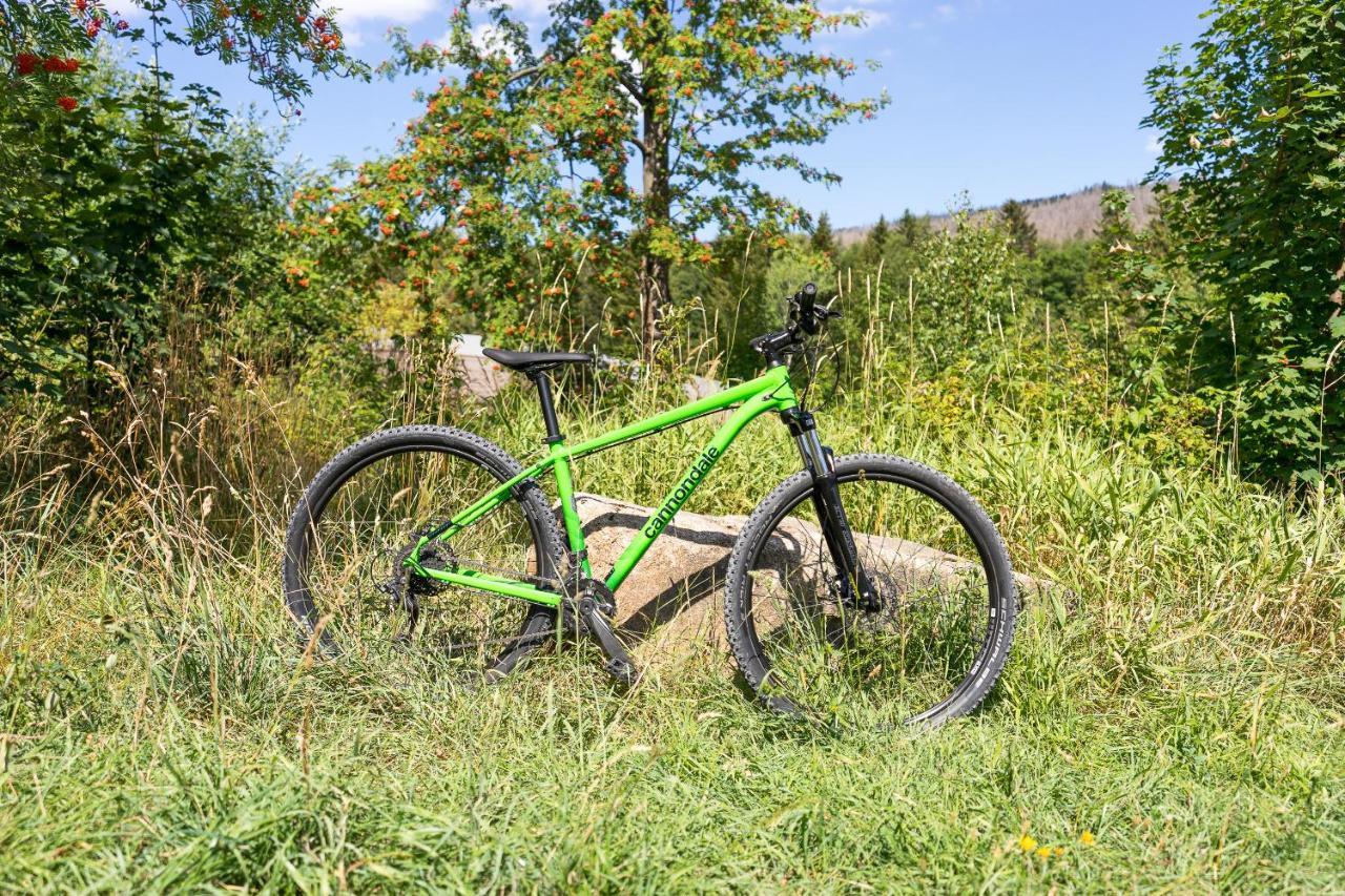 Ferienanlage Zum Wildbach シールケ エクステリア 写真